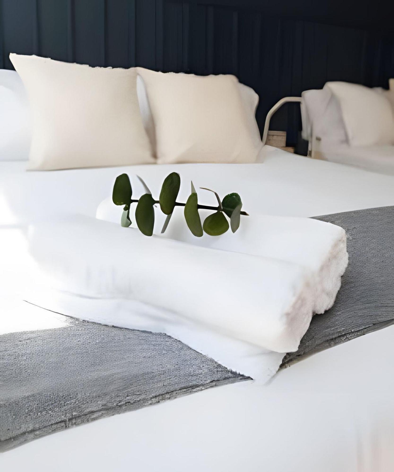 Appartamento Comodo Y Centrico Departamento En Polanco